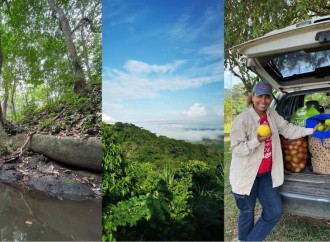 Reserva Forestal Hogar Gatún: Un esfuerzo en favor de la flora,  fauna y agua dulce en las riberas de Canal