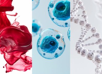Informe «La Sangre También Enferma» destaca estrategias clave para el diagnóstico temprano del cáncer hematológico