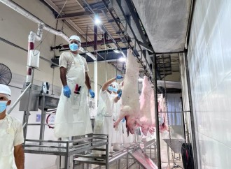 China Certifica Planta de Carne Porcina UNGASA, S.A. en Panamá