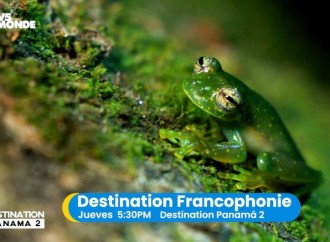 Sumérgete en «Destination Francophonie Panamá» con Sertv