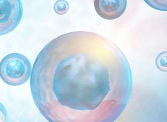 Estudio de la SRI revela que metformina mejora resultados reproductivos en pacientes con resistencia a la insulina