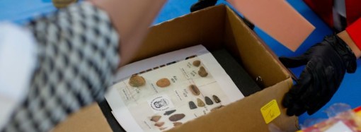 Panamá recupera 33 piezas arqueológicas precolombinas de Estados Unidos e Italia